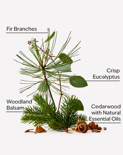 Fresh Balsam Concentrated Room Spray