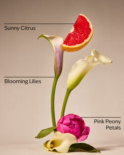 Nến 3 Bấc First Blooms Of Spring 3-Wick Candle image number null