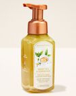 Nước Rửa Tay Tạo Bọt Sweet Tea & Lemonade Gentle & Clean Foaming Hand Soap image number null
