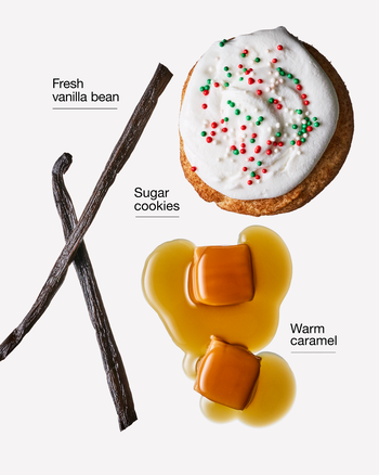 Vanilla Bean Noel Shapeable Soap Shapeable Soap