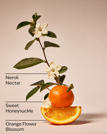 Nước Rửa Tay Tạo Bọt Backyard Honeysuckle Gentle & Clean Foaming Hand Soap Gentle & Clean Foaming Hand Soap