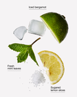 Nước Rửa Tay Tạo Bọt L&agrave;m Sạch & Dịu Nhẹ Chilled Lemon Frost Gentle & Clean Foaming Hand Soap image number null