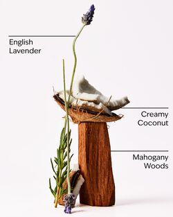 Nước Hoa &Ocirc; T&ocirc; Mahogany Coconut Car Fragrance Refill