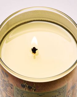 Nến 1 Bấc Backyard Honeysuckle Single Wick Candle image number null