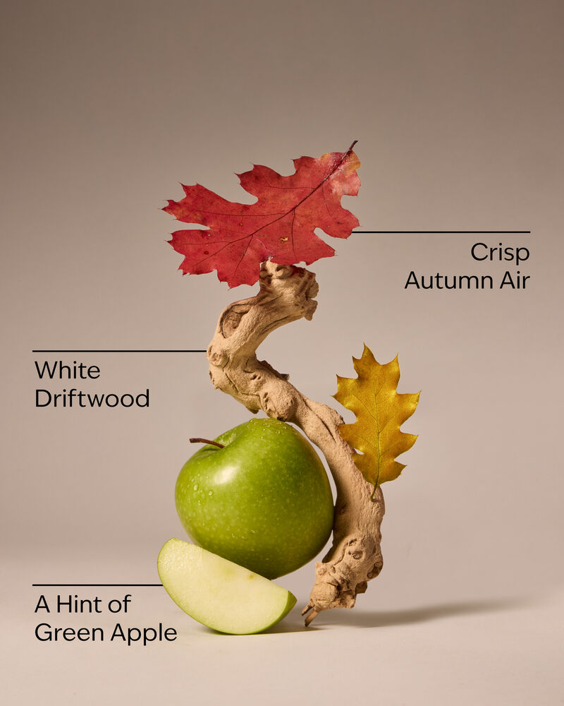 Nước Rửa Tay Dạng Gel Lakeside Morning Gel Hand Soap Nước Rửa Tay Dạng Gel