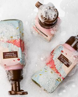 Nước Rửa Tay Tạo Bọt L&agrave;m Sạch & Dịu Nhẹ The Perfect Autumn Gentle & Clean Foaming Hand Soap image number null