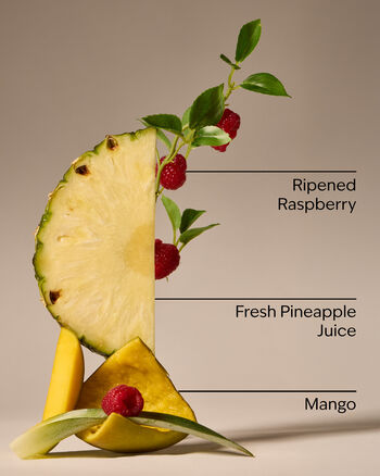 Tinh Dầu X&ocirc;ng Ph&ograve;ng Pineapple Mango Wallflowers Fragrance Refill Tinh Dầu X&ocirc;ng Ph&ograve;ng