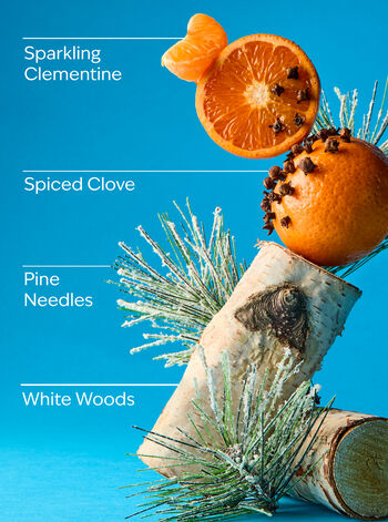 Winter Cleansing Gel Hand Soap Cleansing Gel Hand Soap