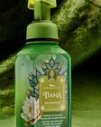 Nước Rửa Tay Tạo Bọt Tiana Gentle & Clean Foaming Hand Soap image number null