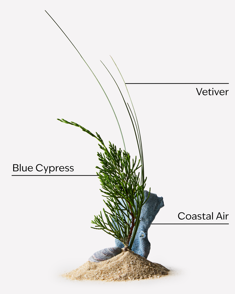 Ocean Gift Set Gift Set