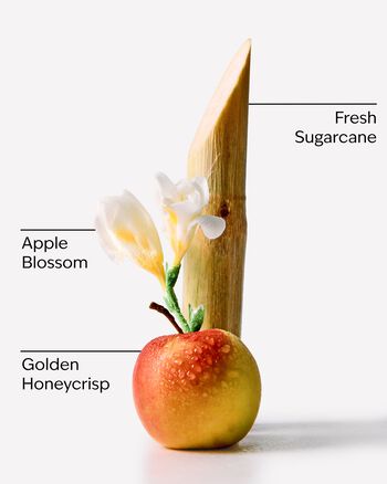 Tinh Dầu X&ocirc;ng Ph&ograve;ng Honeycrisp Apple Wallflowers Fragrance Refill Tinh Dầu X&ocirc;ng Ph&ograve;ng