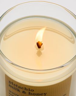 Nến 1 Bấc Pistachio Milk & Honey Single Wick Candle image number null