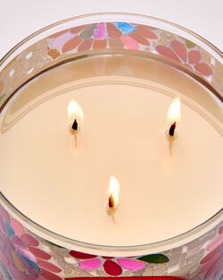Nến 3 Bấc Warm Summer Evening 3-Wick Candle image number null