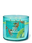 Nến 3 Bấc Sweet Kiwi & Star Fruit 3-Wick Candle image number null