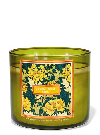 Nến 3 Bấc Greenhouse Fern 3-Wick Candle Nến 3 Bấc