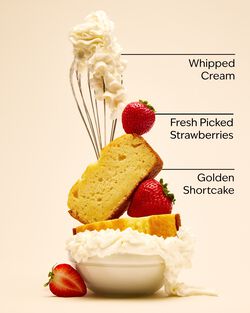 Nước Rửa Tay Tạo Bọt Strawberry Pound Cake Gentle & Clean Foaming Hand Soap image number null