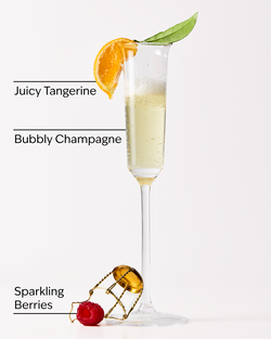 Nước Rửa Tay Tạo Bọt Champagne Toast Foaming Hand Soap