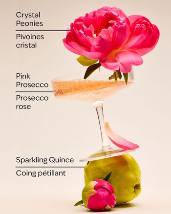 Bộ Qu&agrave; Tặng A Thousand Wishes Gift Set Gift Set