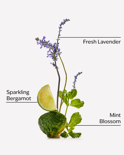 Clean House Vibes Hanging Fragrance Diffuser image number null