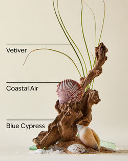 Bộ Qu&agrave; Tặng Ocean Gift Set image number null