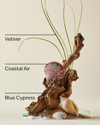 Bộ Qu&agrave; Tặng Ocean Gift Set Bộ Qu&agrave; Tặng