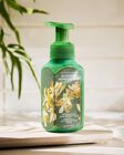 Nước Rửa Tay Tạo Bọt Backyard Honeysuckle Gentle & Clean Foaming Hand Soap image number null