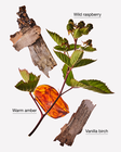 Autumn Drive Wallflowers Fragrance Refill image number null