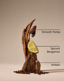 Lăn Khử M&ugrave;i After Dark Antiperspirant Deodorant image number null