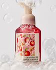Nước Rửa Tay Tạo Bọt L&agrave;m Sạch & Dịu Nhẹ Champagne Apple & Honey Gentle & Clean Foaming Hand Soap image number null
