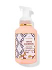 Coastal Watermelon Gentle & Clean Foaming Hand Soap image number null