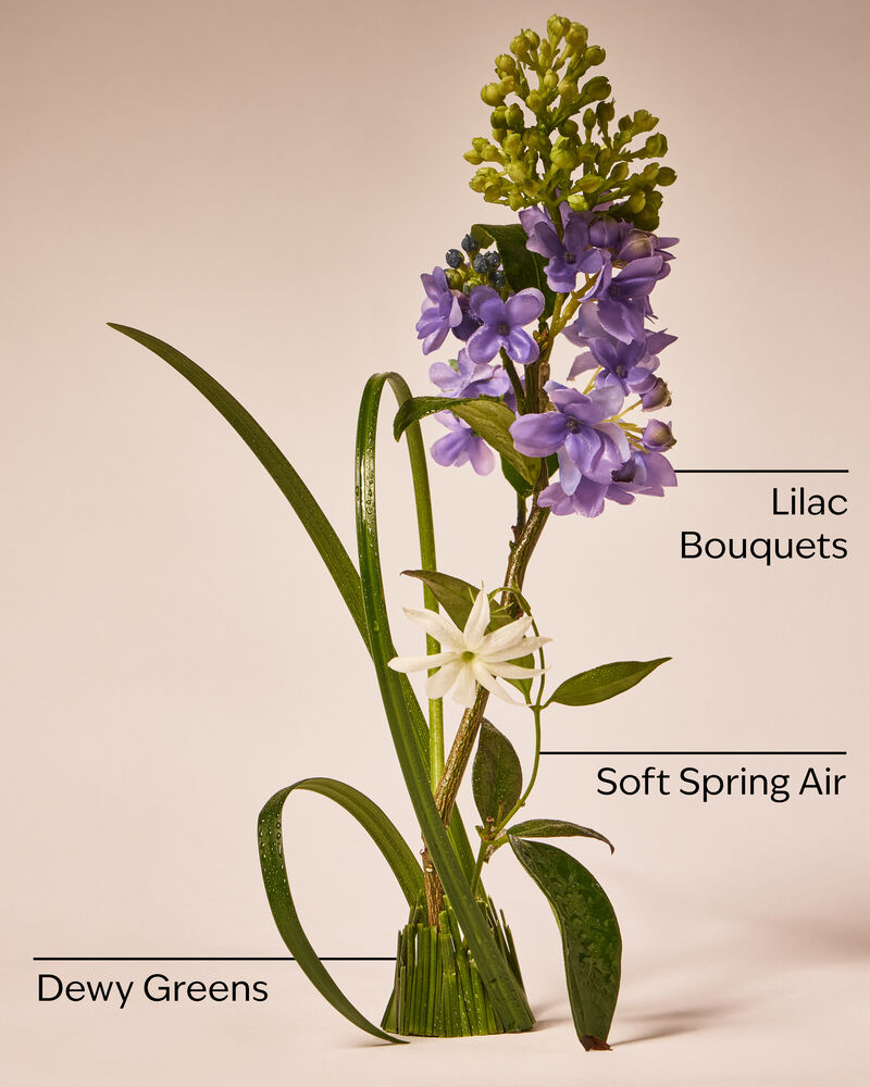 Tinh Dầu X&ocirc;ng Ph&ograve;ng Fresh Cut Lilacs Wallflowers Fragrance Refill Tinh Dầu X&ocirc;ng Ph&ograve;ng