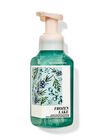Xà Phòng Rửa Tay Làm Sạch Tạo Bọt Dịu Nhẹ Frozen Lake Gentle & Clean Foaming Hand Soap image number null