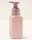 Raspberries & Whipped Vanilla Gentle & Clean Foaming Hand Soap image number null