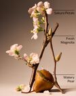 Sữa Dưỡng Thể Forever Cherry Blossom Body Lotion image number null