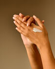 Champagne Toast Hand Cream image number null