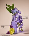Nến 3 Bấc Violet & Musk 3-Wick Candle image number null