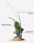Ocean Daily Face Lotion image number null