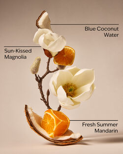 Xịt Ph&ograve;ng Đậm Đặc Endless Weekend Concentrated Room Spray image number null