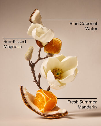 Xịt Ph&ograve;ng Đậm Đặc Endless Weekend Concentrated Room Spray Xịt Ph&ograve;ng Đậm Đặc