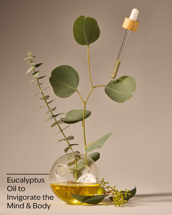 Kem Dưỡng Thể Cấp Ẩm Tối Ưu Eucalyptus Ultimate Hydration Body Cream Ultimate Hydration Body Cream