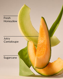 Melon Slice Wallflowers Fragrance Refill image number null