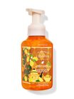 Sunshine & Lemons Gentle & Clean Foaming Hand Soap image number null