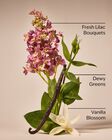 Nến 3 Bấc Pink Lilac & Vanilla 3-Wick Candle image number null