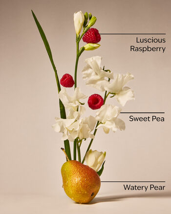 Sweet Pea Daily Nourishing Body Lotion Daily Nourishing Body Lotion