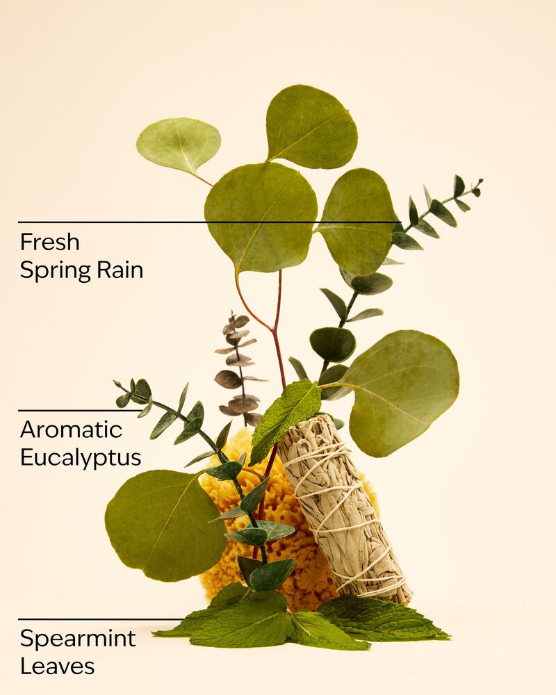 Bộ Qu&agrave; Tặng Eucalyptus Spearmint Gift Set Gift Set