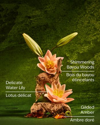 Sữa Tắm Tiana Body Wash Body Wash