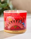 Nến 3 Bấc Viva Brazil 3-Wick Candle image number null