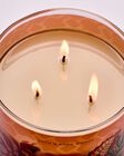 Nến 3 Bấc Mango Papaya Paradise 3-Wick Candle image number null