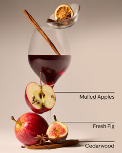 Nến 3 Bấc Wine Cellar 3-Wick Candle image number null