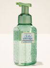 Nước Rửa Tay Tạo Bọt L&agrave;m Sạch & Dịu Nhẹ Chilled Lemon Frost Gentle & Clean Foaming Hand Soap image number null